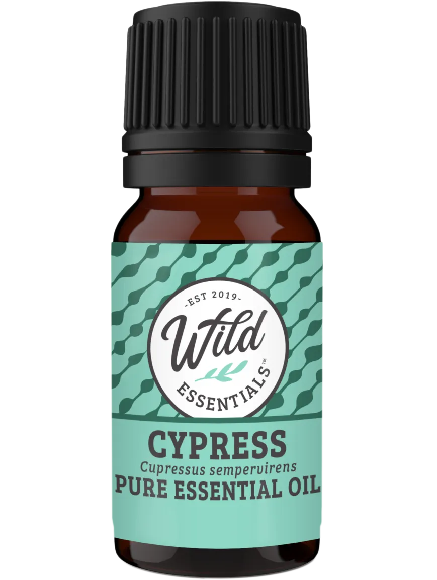 Essential Oils (Single Note) CYPRESS