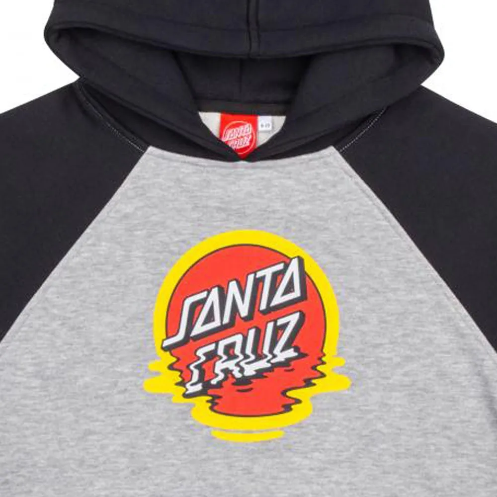 Santa Cruz Youth Dot Reflection Hoody