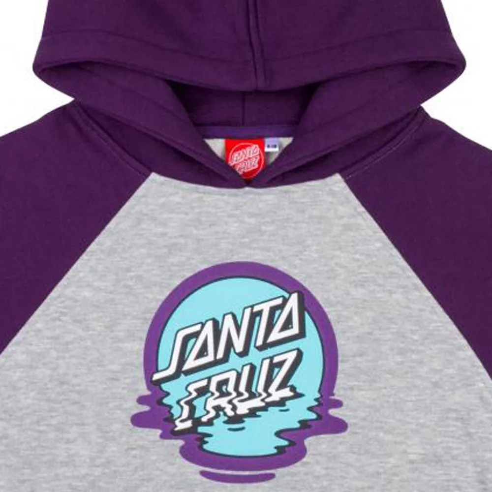 Santa Cruz Youth Dot Reflection Hoody