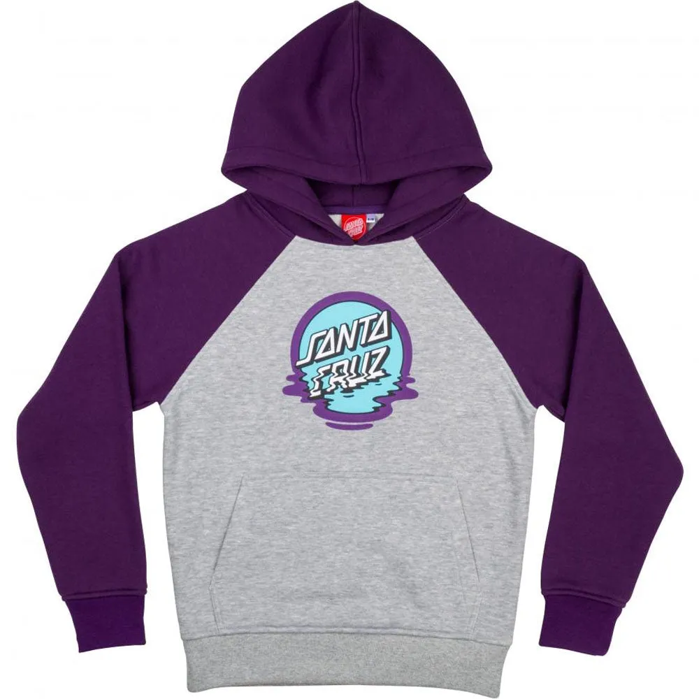 Santa Cruz Youth Dot Reflection Hoody