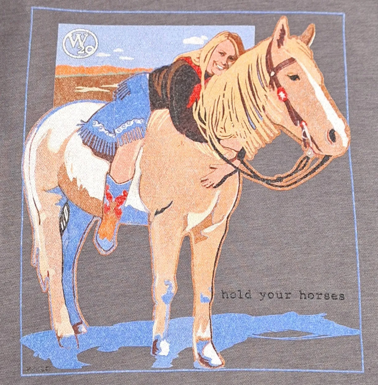 West 20 Nickel Hold Your Horses Hoodie