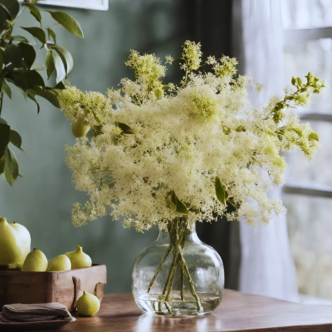 Winter Honeysuckle & Elderflower Fragrance Oil